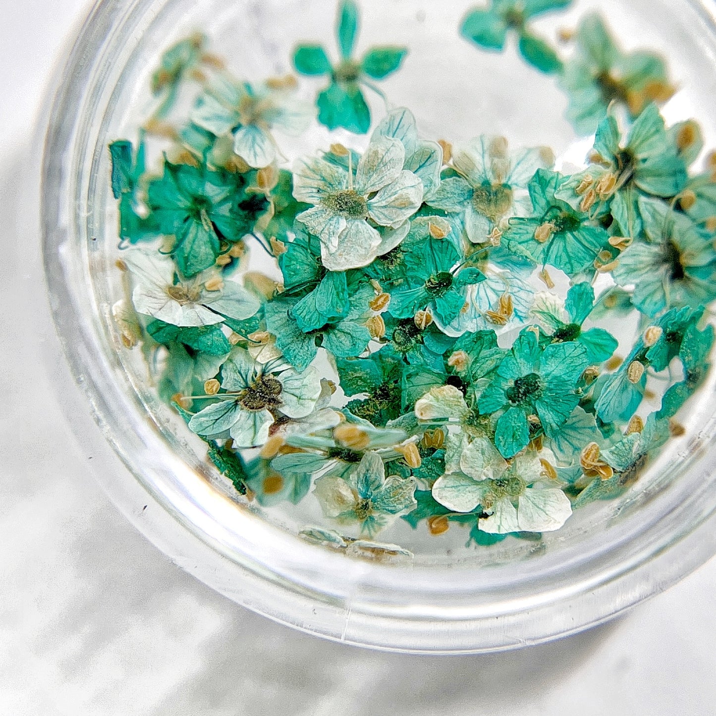 Petite Bloom in Marine - Multi-Tonal Teal Pressed Flower Mix in Jar, Presented on White Background.