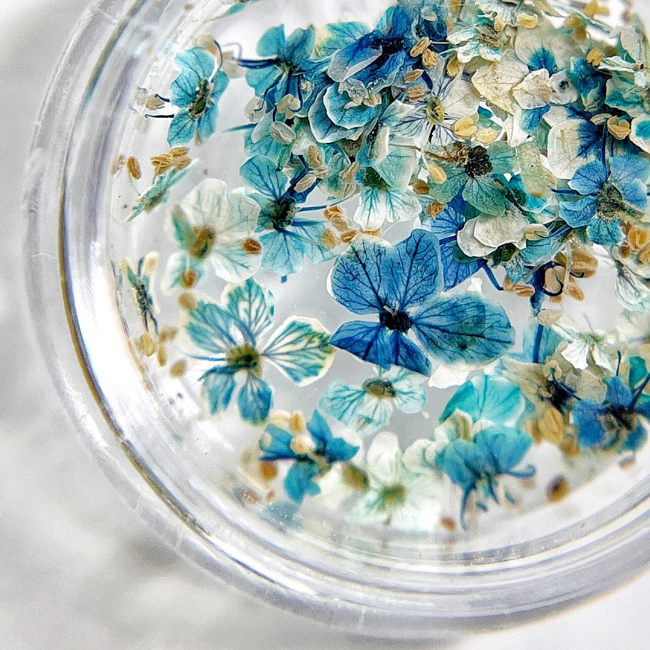Petite Bloom in Capri- Multi-Tonal Blue Pressed Flower Mix in Jar, Presented on White Background.