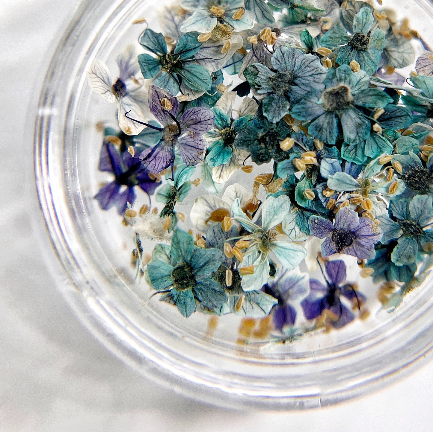 Petite Bloom in Denim - Multi-Tonal Indigo blue  Pressed Flower Mix in Jar, Presented on White Background.