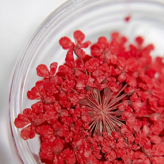 Pressed Clusters - Saturated Red