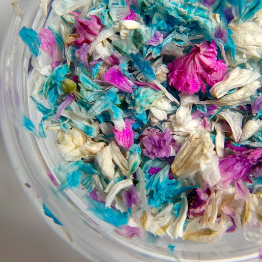 Detail view of dried flowers in clear jar on white background. 