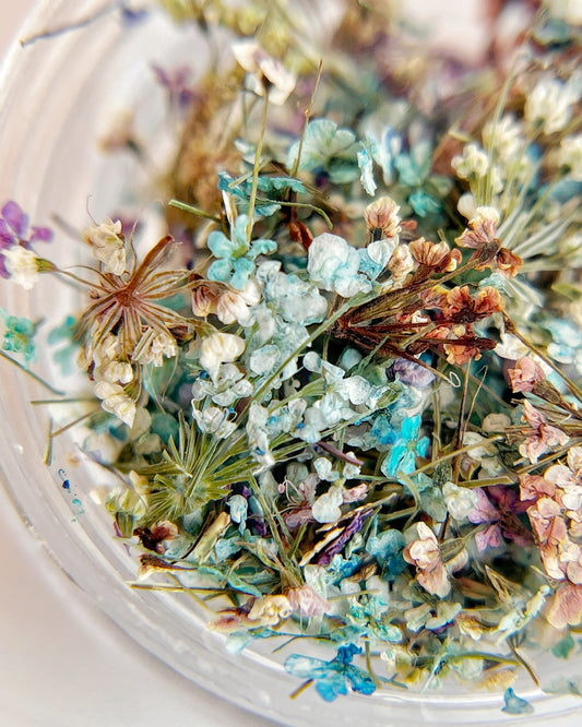 Detail view of multi-color dried flower mixture in clear jar on white background. 