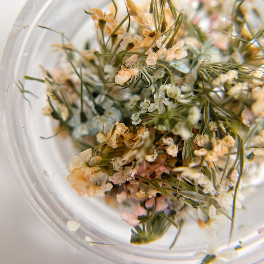 Detail view of multi-color dried flower mixture in clear jar on white background. 