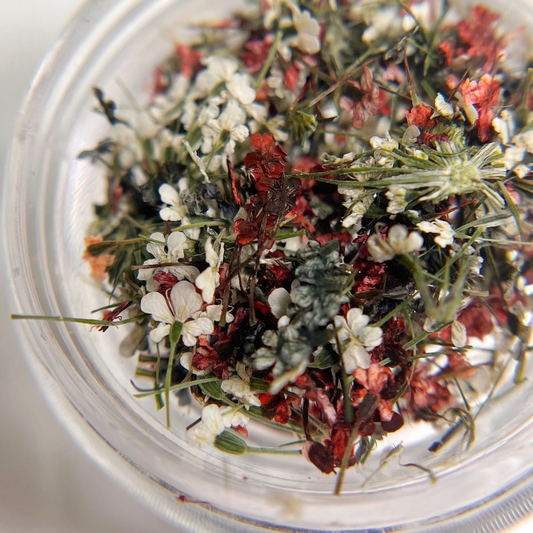 Detail view of multi-color dried flower mixture in clear jar on white background. 